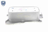 Oil Cooler, engine oil - V30-60-1321