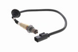 Oxygen Sensor - V48-76-0002