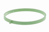 Gasket, throttle body - V10-81-0130
