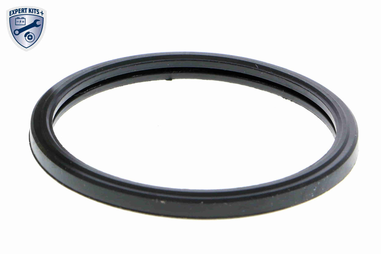 Thermostat, coolant - V20-99-1281
