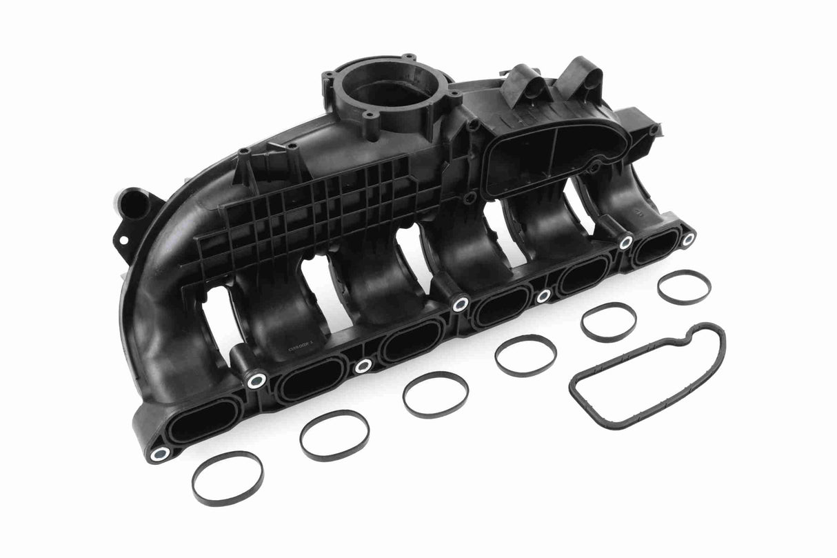 Intake Manifold Module - V20-3843