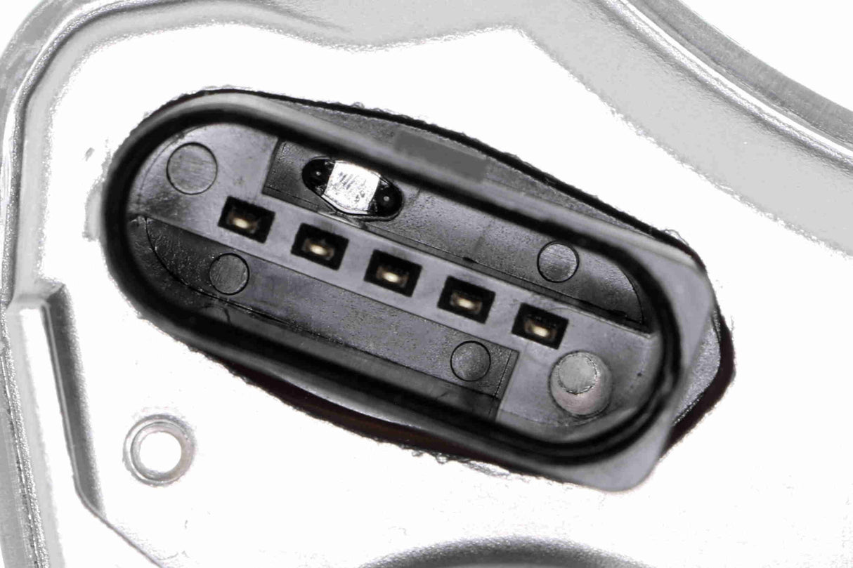 Throttle Body - V10-81-0025