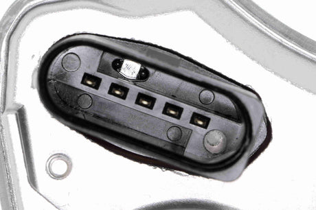 Throttle Body - V10-81-0025