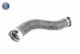 Charge Air Hose - V20-2966