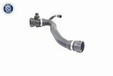 Radiator Hose - V20-2674