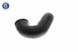 Charge Air Hose - V10-3813