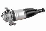 Air Suspension Strut - V10-50-0007
