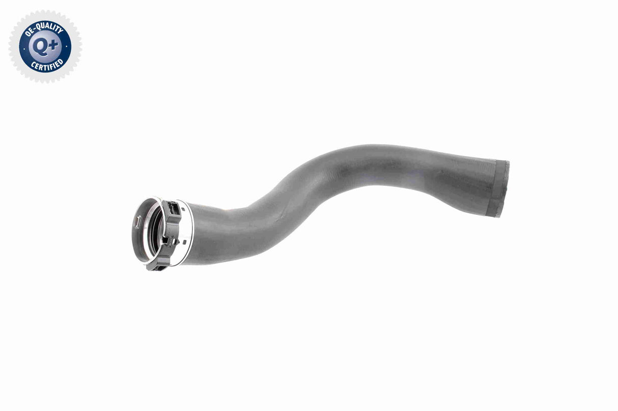 Charge Air Hose - V40-1364