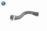 Charge Air Hose - V40-1364