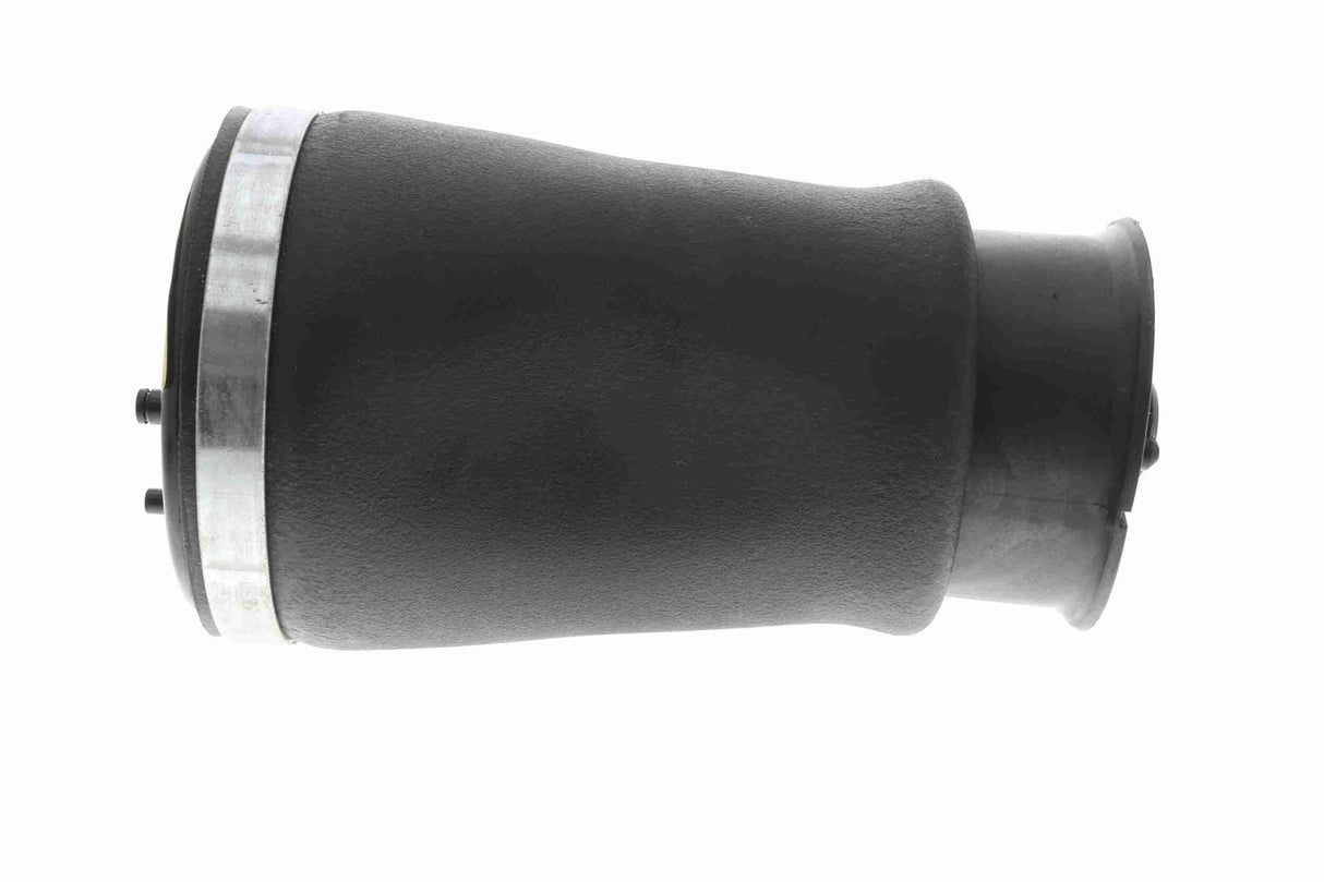 Air Suspension Strut - V20-50-0021-1