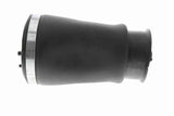 Air Suspension Strut - V20-50-0021-1