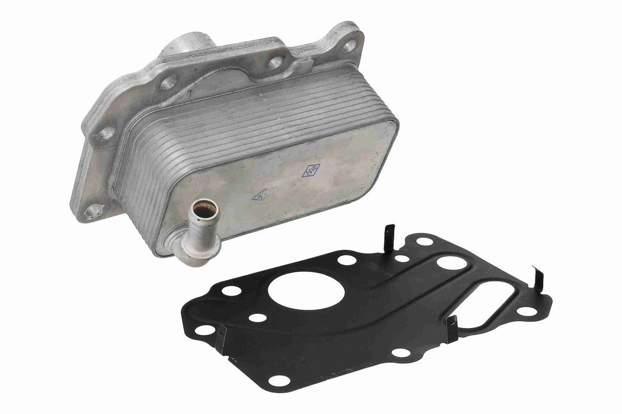 Oil Cooler, engine oil - V48-60-0052