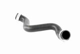 Radiator Hose - V30-1916