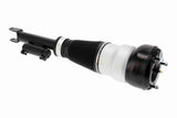 Air Suspension Strut - V30-50-0044
