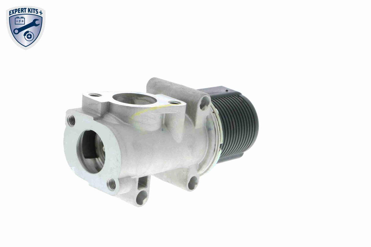 Valve, exhaust gas recirculation - V24-63-0010-1
