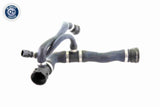 Radiator Hose - V20-1745