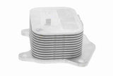 Oil Cooler, engine oil - V22-60-0003