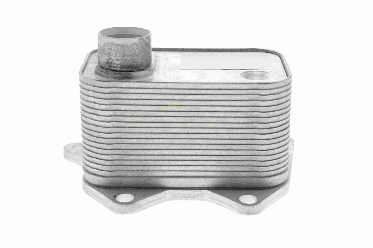 Oil Cooler, engine oil - V15-60-0015