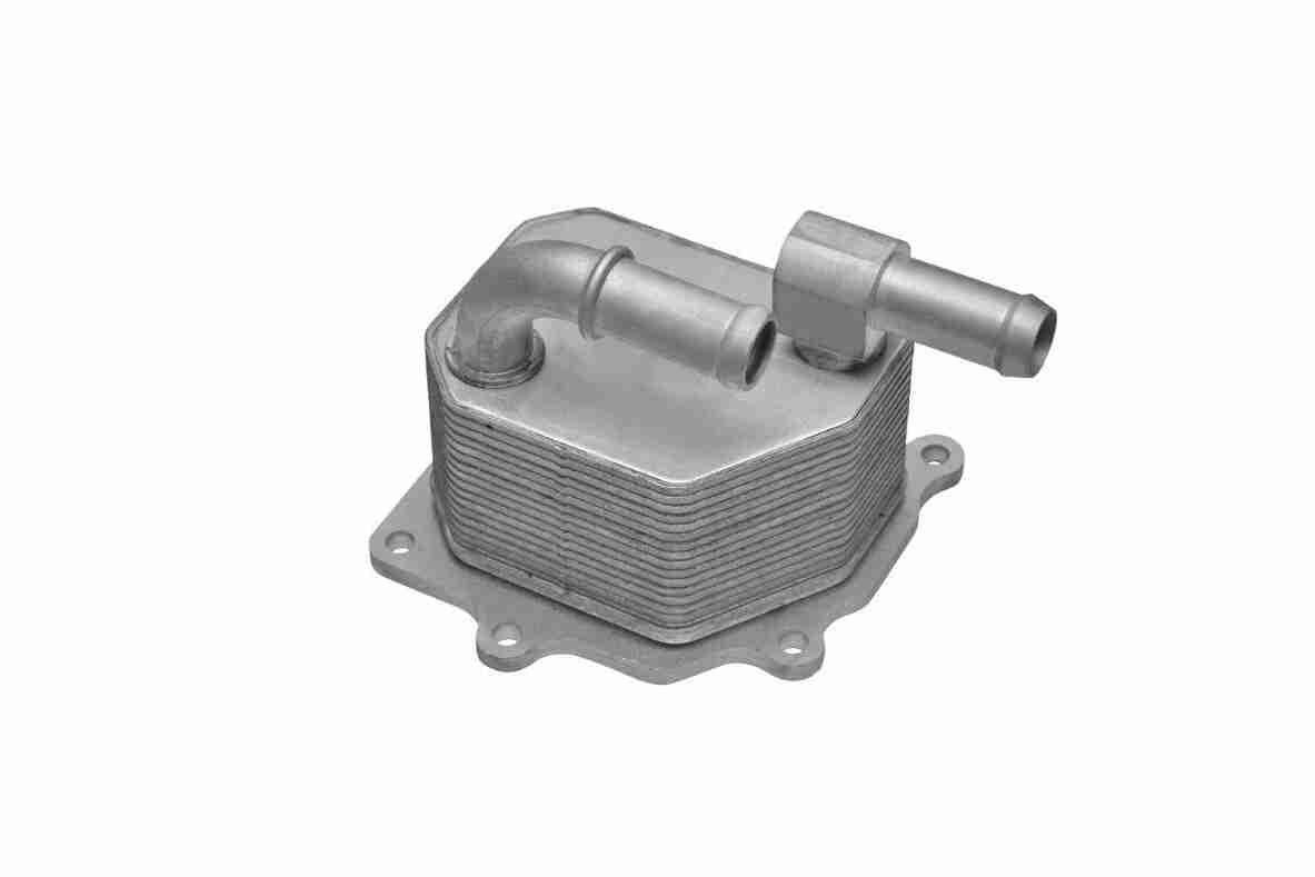 Oil Cooler, engine oil - V25-60-3033
