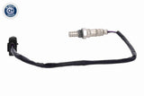 Oxygen Sensor - V24-76-0036