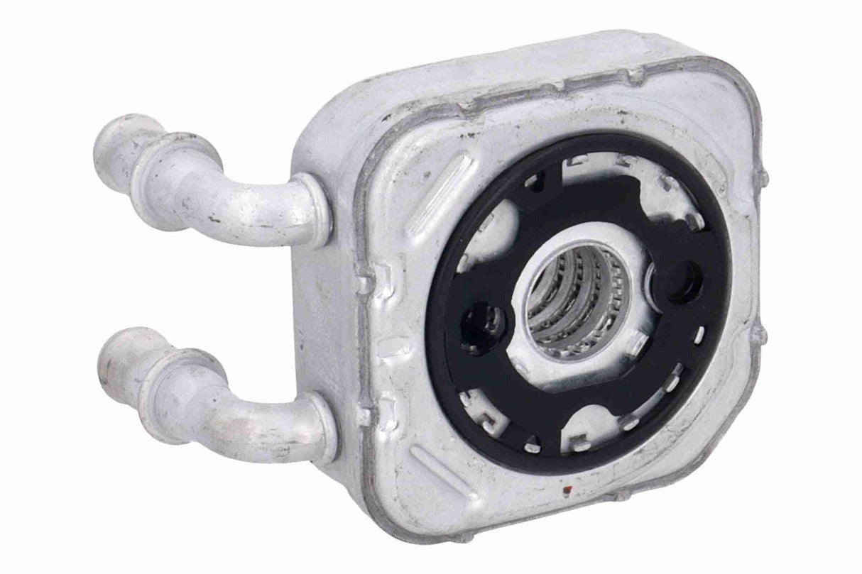 Oil Cooler, engine oil - V24-60-0064