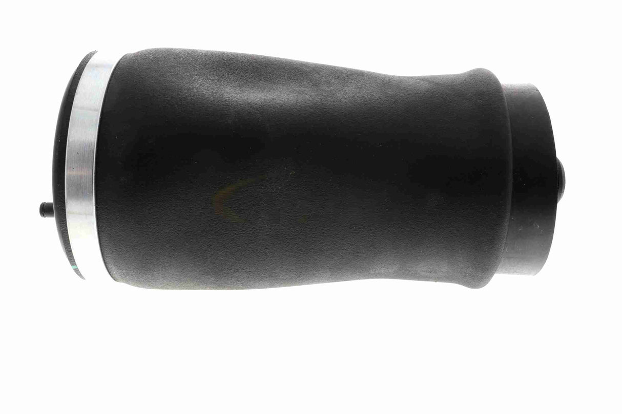Air Suspension Strut - V20-50-0004-1