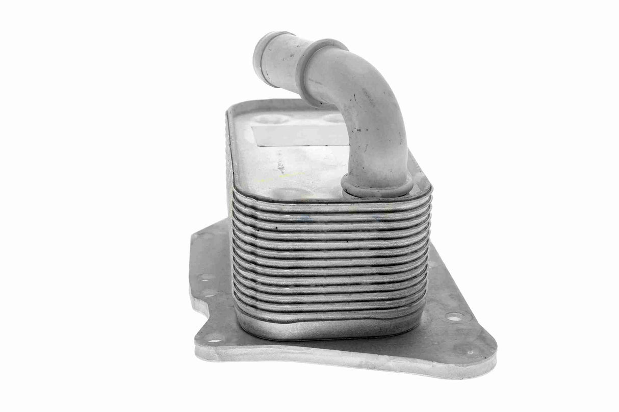 Oil Cooler, engine oil - V40-60-2107