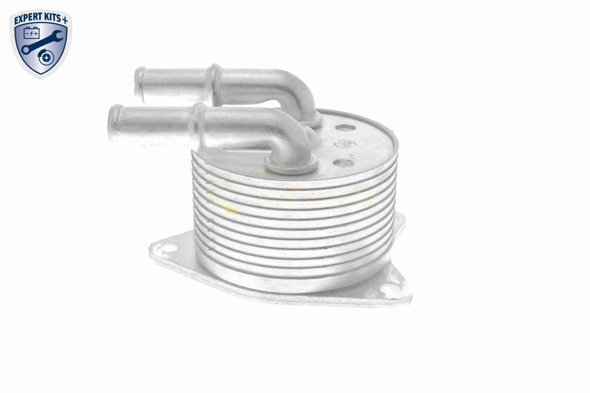 Oil Cooler, automatic transmission - V42-60-0012