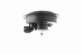 Signal Horn - V10-77-0912