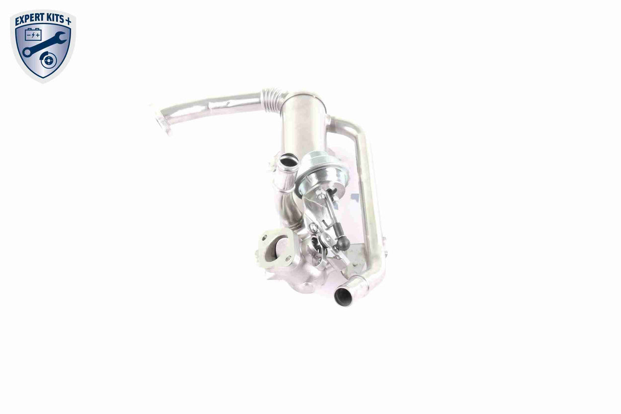 Cooler, exhaust gas recirculation - V10-63-0100