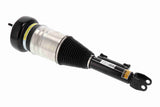 Air Suspension Strut - V30-50-0049