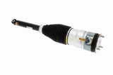 Air Suspension Strut - V58-50-0002