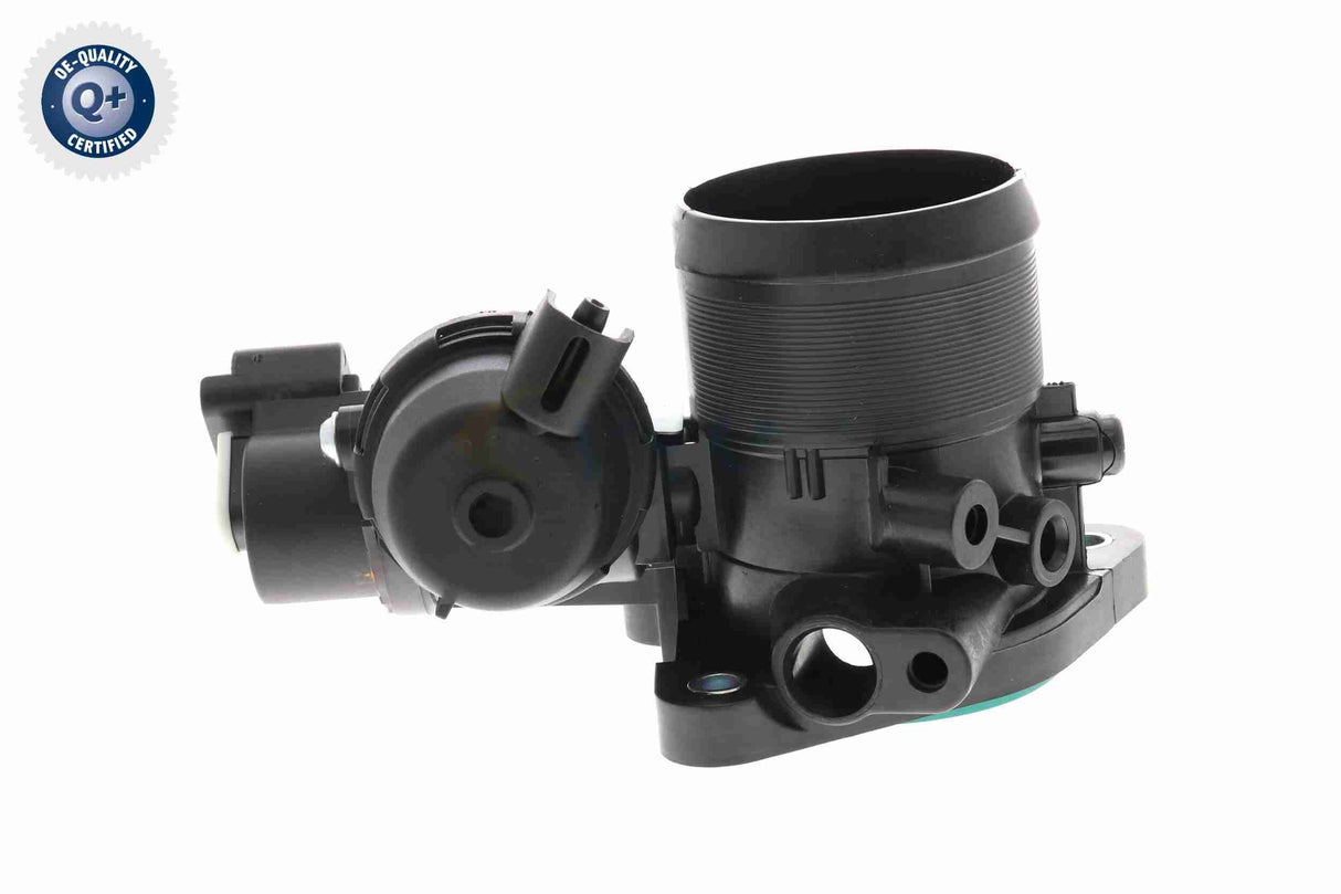 Throttle Body - V25-81-0013