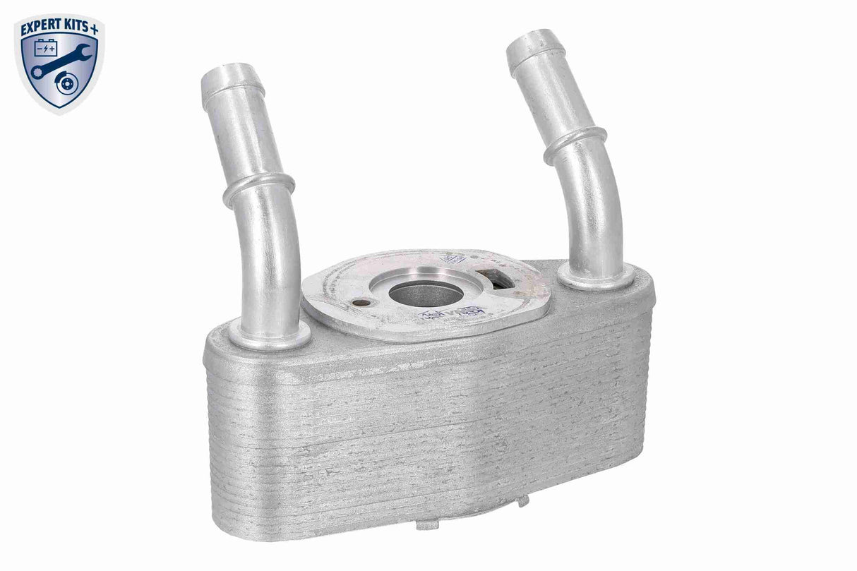 Oil Cooler, engine oil - V25-60-0065