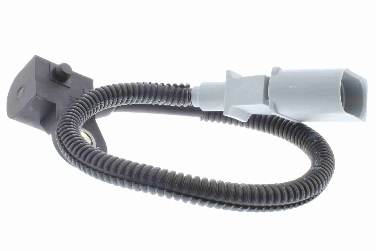 Sensor, camshaft position - V10-72-1229