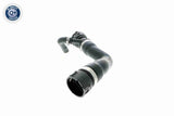 Radiator Hose - V20-1271