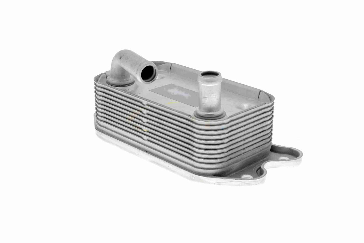 Oil Cooler, engine oil - V95-60-0006