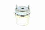 Mounting, engine - V10-8208