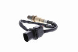 Oxygen Sensor - V25-76-0029