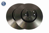 Brake Disc - V42-80004