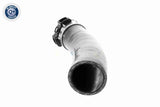 Charge Air Hose - V46-1198