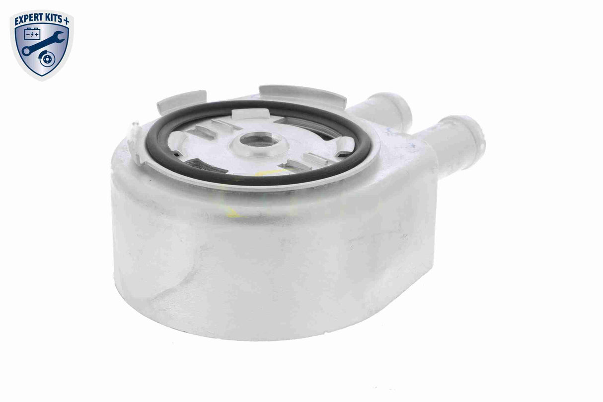 Oil Cooler, engine oil - V25-60-0034