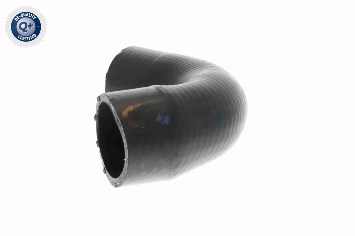 Radiator Hose - V20-3729
