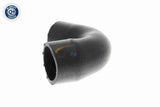 Radiator Hose - V20-3729