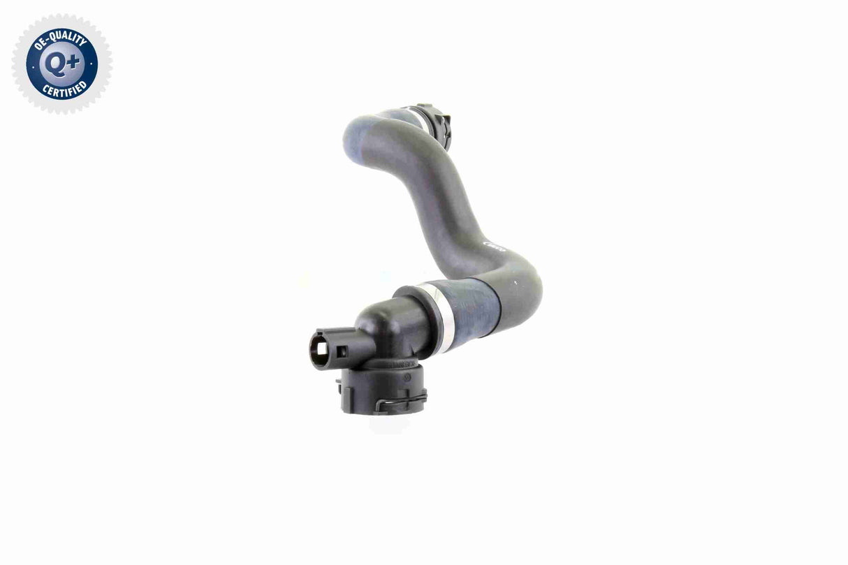 Radiator Hose - V20-1764
