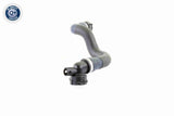 Radiator Hose - V20-1764
