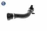 Radiator Hose - V20-3322