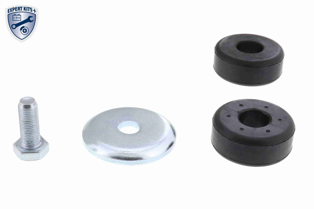 Shock Absorber - V10-1859
