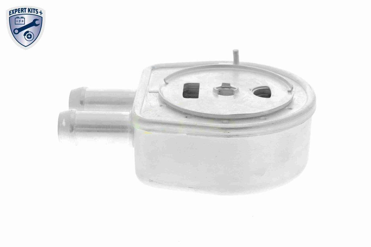 Oil Cooler, engine oil - V25-60-0047