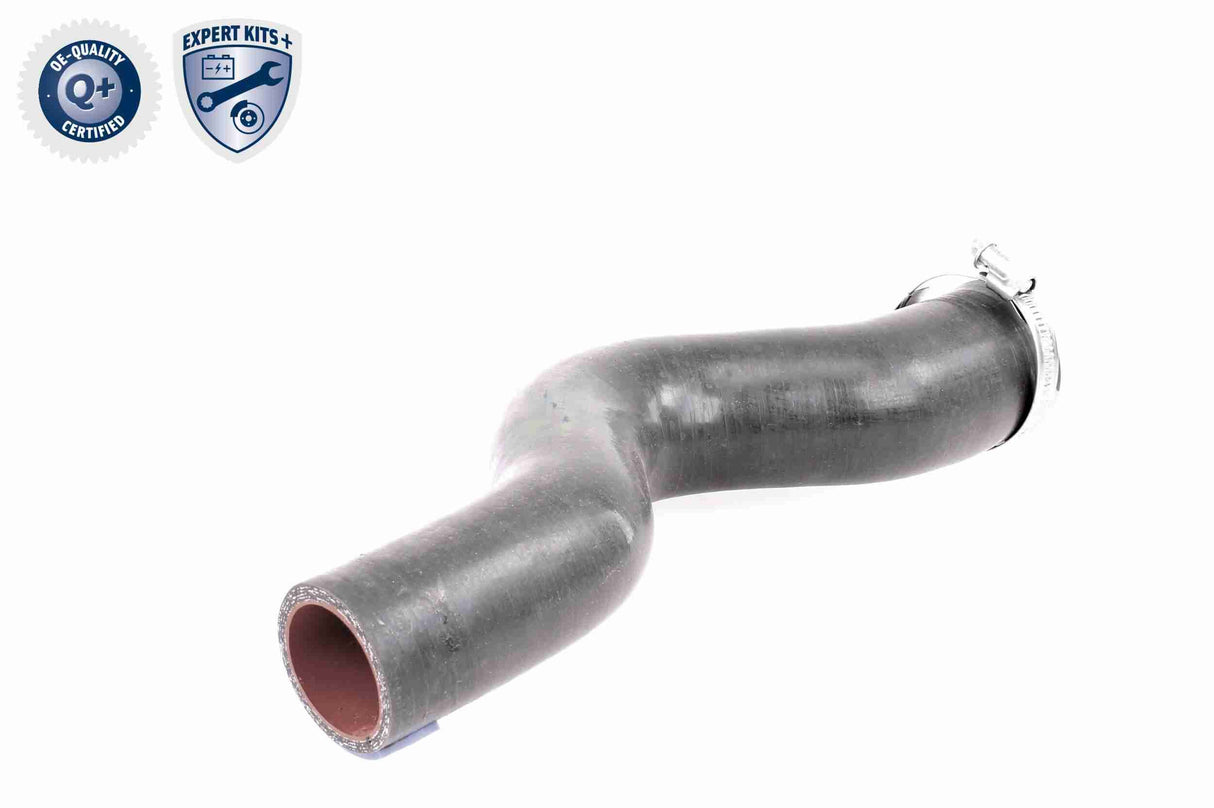 Charge Air Hose - V38-0488